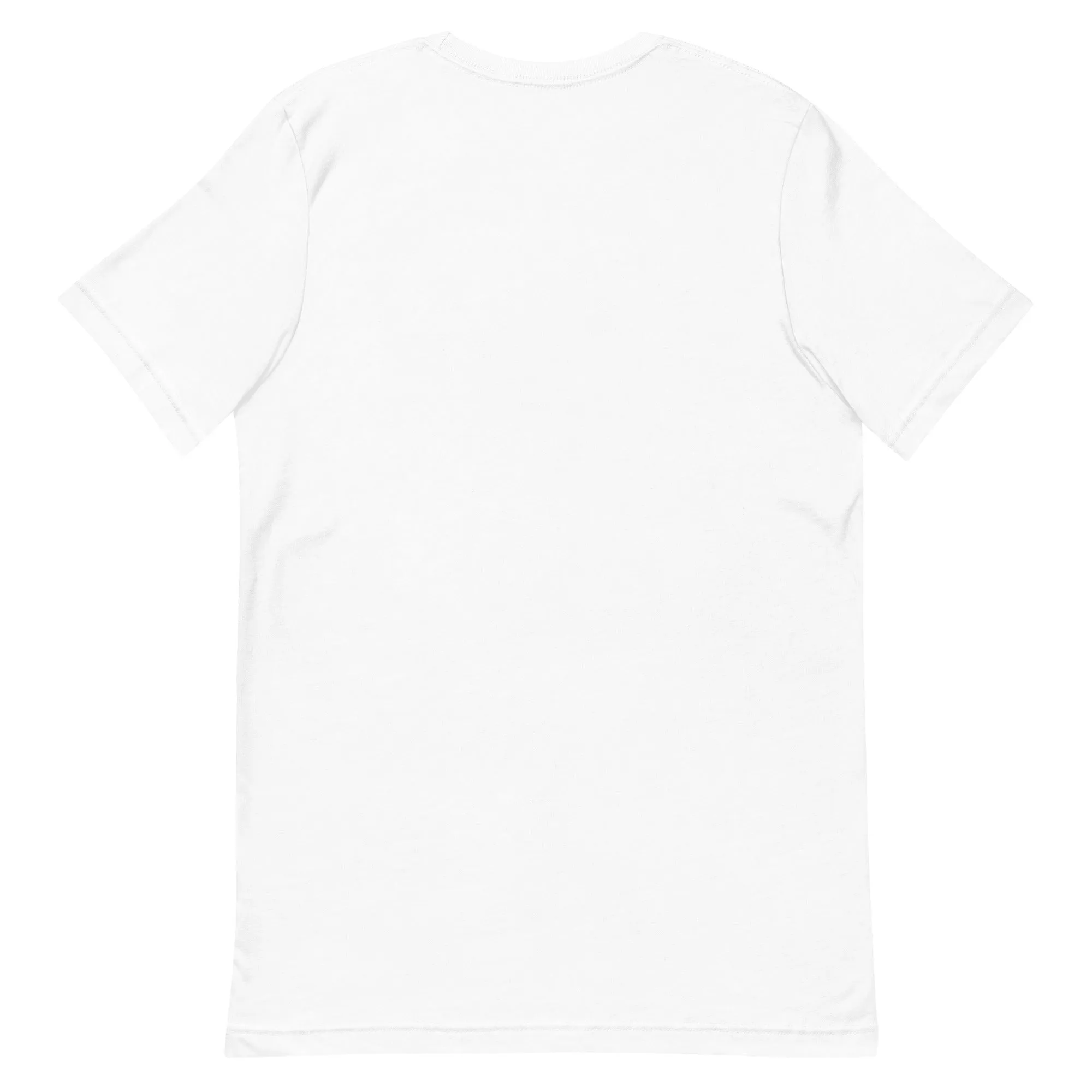 Bosnia Flag Map t-shirt