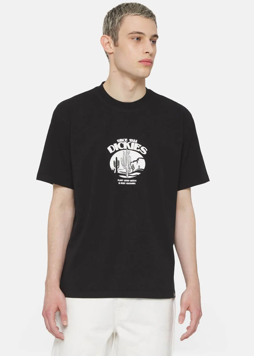 Dickies Heren Timberville T-Shirt Black