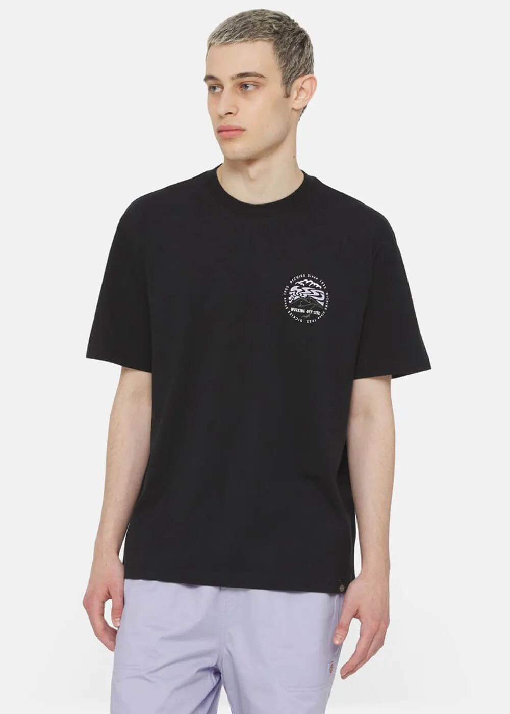 Dickies Men Stanardsville T-Shirt Black