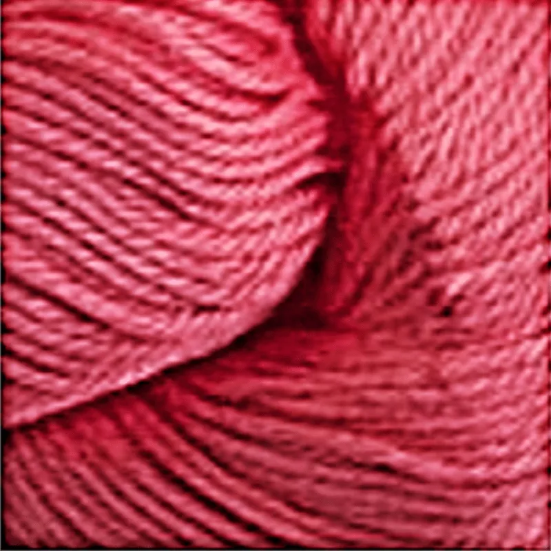 Floral Lace Jacket Kit in Ultra Pima Cotton