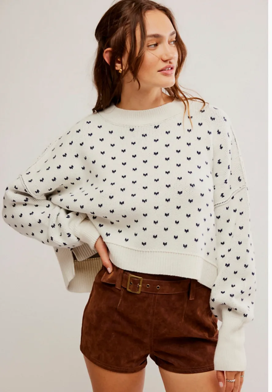 Free People Easy Street Cropped Sweater