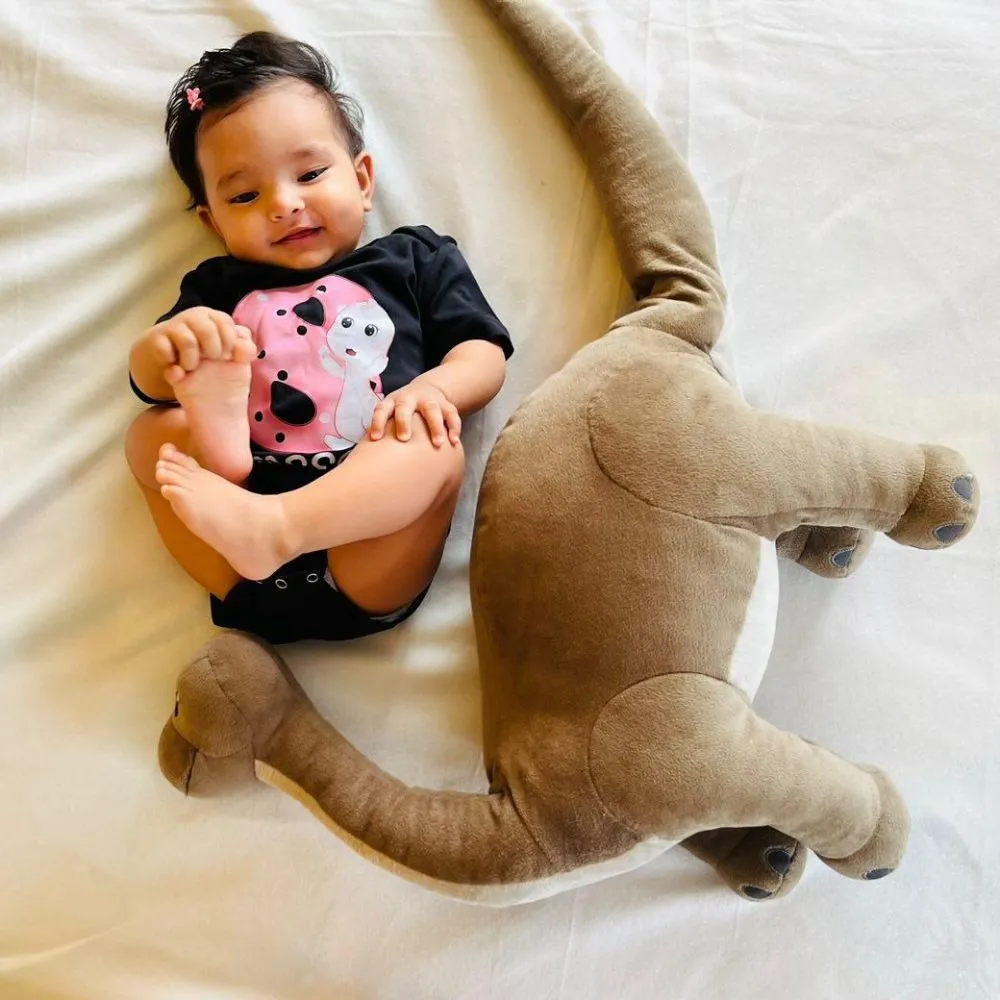 Monthly Birthday T-Shirts | 0-10 Months | Dino Theme T-Shirts for Babies