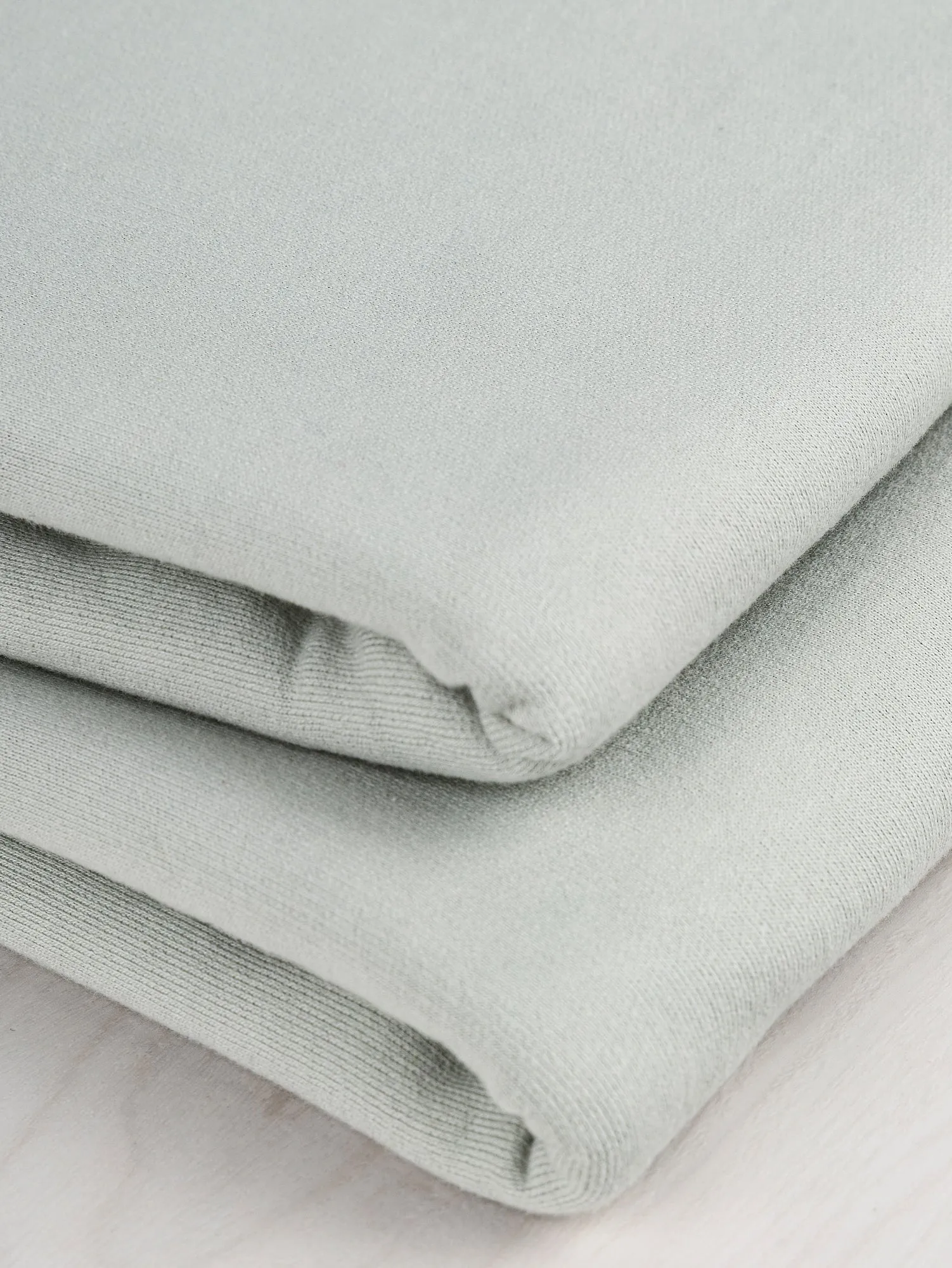 Organic Cotton Heavy French Terry - Sea Salt - Swatch